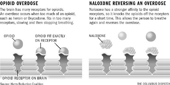 naloxone opioid overdose treatment naloxone graphic
