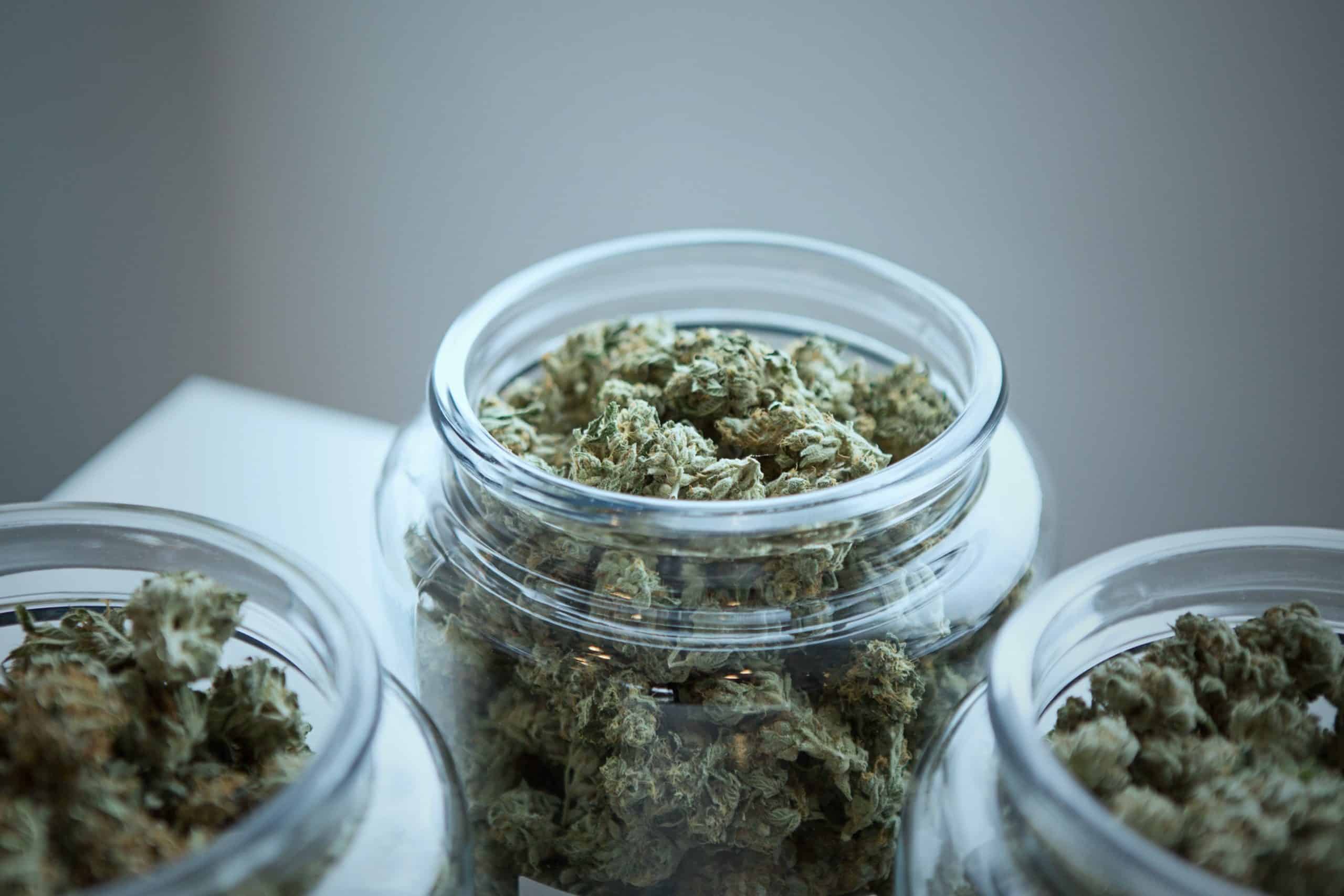 Marijuana Addiction