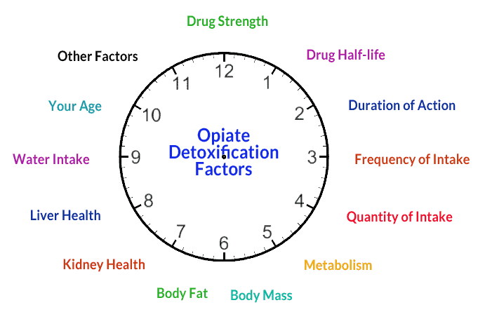 a chart showing factors affecting opiate detoxification
