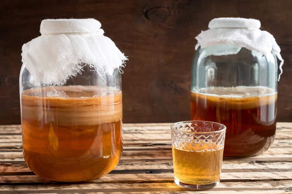 Two glass jars of half-filled kombucha with a small glass of kombucha in the center 