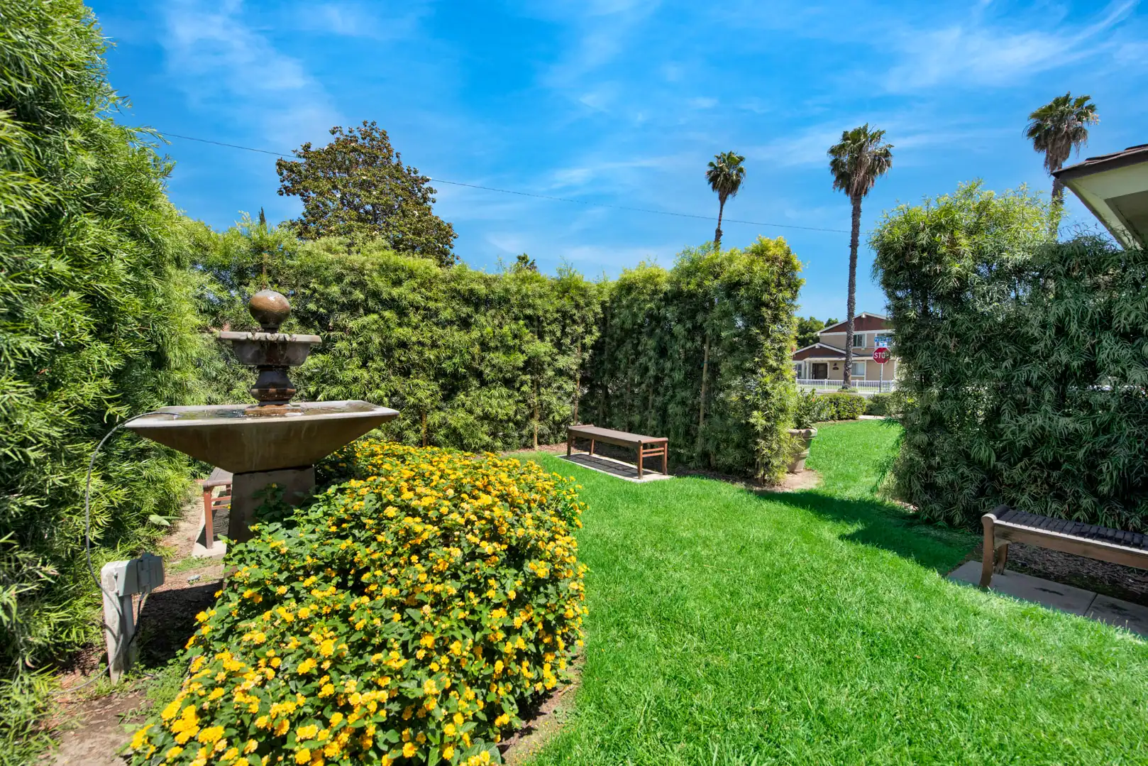 Drug Detox zen garden at Lighthouse Treatment in Orange County, CA